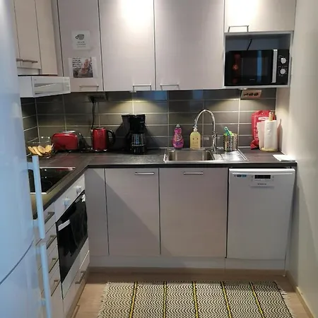 Apartament The Wildflower Turku