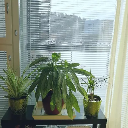 The Wildflower 아파트 *